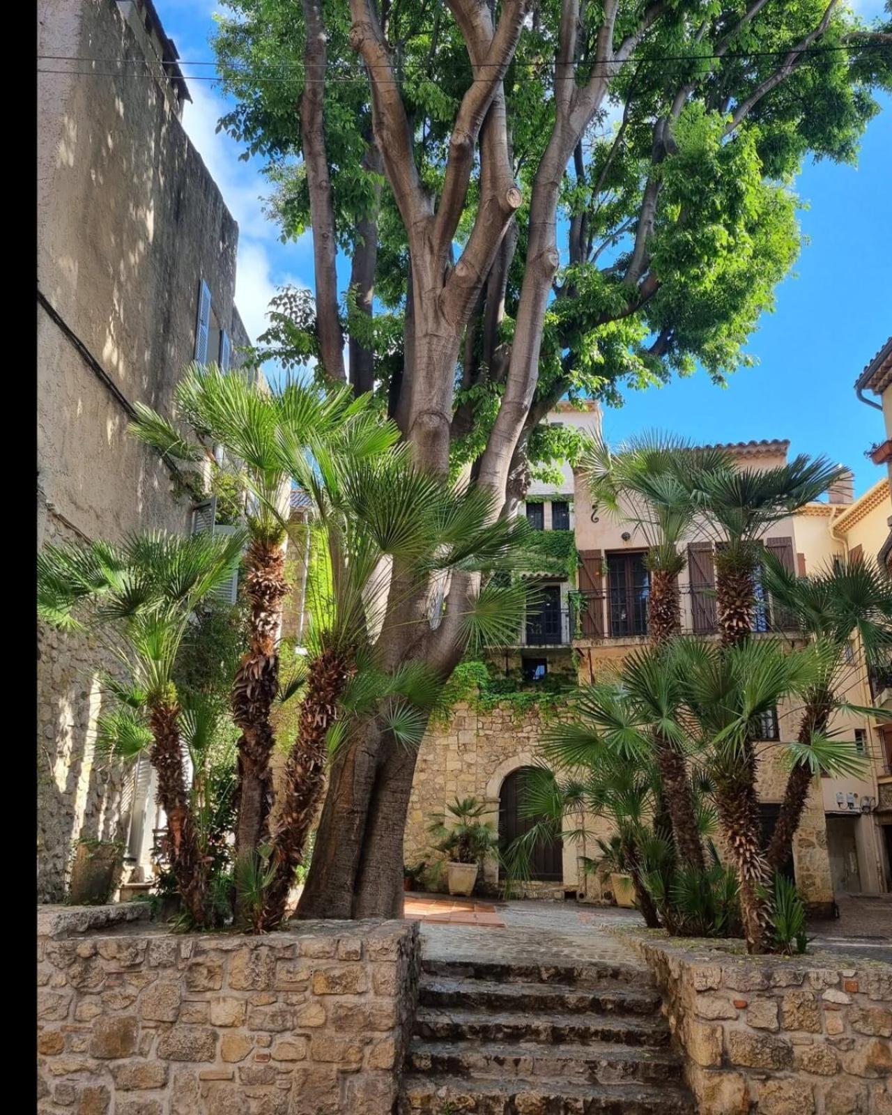 06An - Beautiful Apartment In The Heart Of Old Antibes Exterior photo