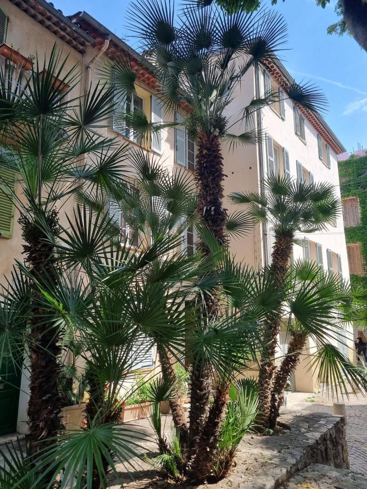 06An - Beautiful Apartment In The Heart Of Old Antibes Exterior photo